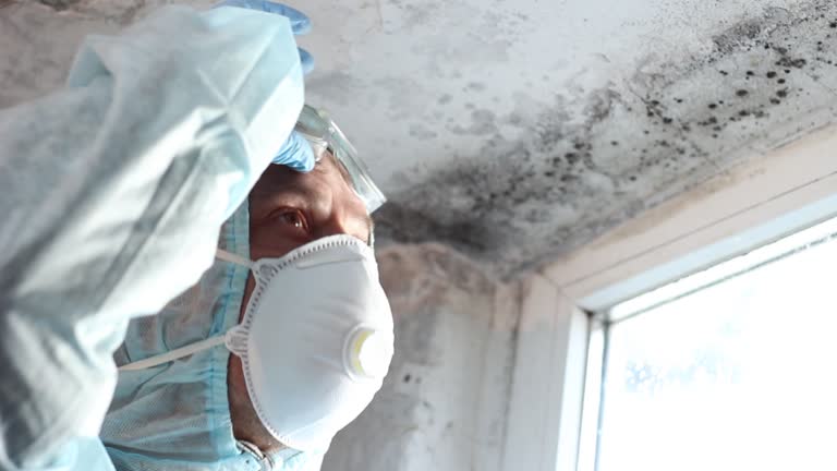 Reliable Cleveland, TN Mold Removal Solutions